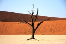 Sossusvlei - Deadvlei