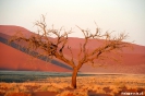 Sossusvlei