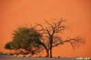 Sossusvlei