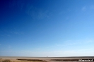 Etosha - Op de zoutvlakte