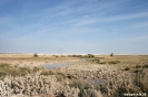 Etosha