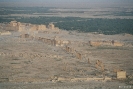 Palmyra - De oude stad