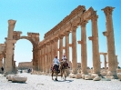 Palmyra - Kamelenrace door de hoofdstraat