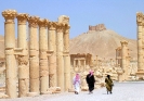 Palmyra