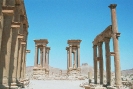 Palmyra