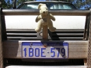 QLD - Onze mascotte op de roobar