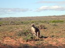 WA - Exmouth, Ningaloo National Park