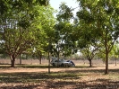 WA - Fitzroy, lekker tussen de bomen.