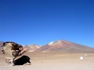 San Pedro to Uyuni - Arbol de piedra