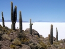 San Pedro to Uyuni -  Isla del pescado