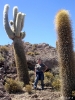 San Pedro to Uyuni - Isla del pescado