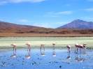 San Pedro to Uyuni - Lagauna Hedionda