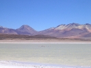 San Pedro to Uyuni - Laguna Blanca