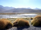 San Pedro to Uyuni - Refugio Laguna Colorada