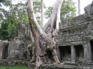 Ankor Wat