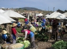 Shaping - Op de markt