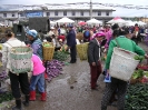 Shaping - Op de markt