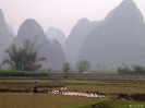 Yangshuo - Het landschap rond Yangshuo