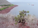 Galapagos - Baaitje op Santa Cruz eiland