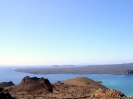 Galapagos - Isabela Island