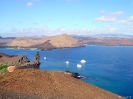 Galapagos - Isabela Island