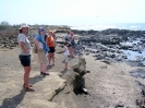 Galapagos - op Rabida eiland