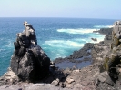 Galapagos - Ruige rotskust