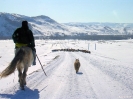 Mongolië - Schaapherder in Terelj national park