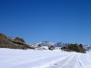 Mongolië - Terelj national park