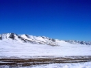 Mongolië - Terelj national park