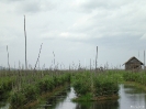 Inle Lake - drijvende velden met tomaten