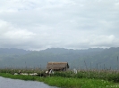 Inle Lake - drijvende velden met tomaten