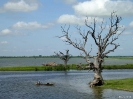 Mandalay - Vissers bij de U-bein brug