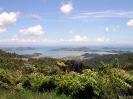 Coromandel