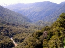 Fiordland - Nieuw Zeelands regenwoud