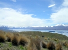 Tekapo - uitzicht op Mt. john