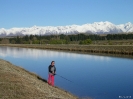 Tekapo - vissen in het verbindingskanaal