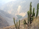 Colca Canyon