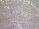 Nazca lines