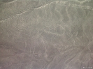 Nazca lines