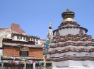 Lhasa naar Kathmandu - Pelchor Chode monastery in Gyantse