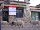 Lhasa naar Kathmandu - Restaurantje in Samye