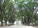 Buenos Aires - in het park