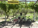 Mendoza - op de fiets