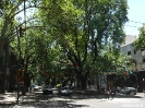 Mendoza - straatje