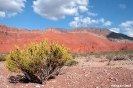 Quebrada de Cafayate