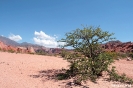 Quebrada de Cafayate