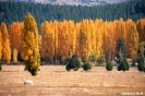 Bariloche - zeven meren route