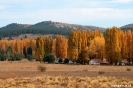 Bariloche - zeven meren route