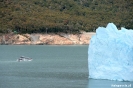 El Calafate - Perito Moreno gletsjer